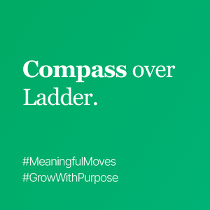 Growth without a compass may push you up the wrong ladder, all speed, no satisfaction